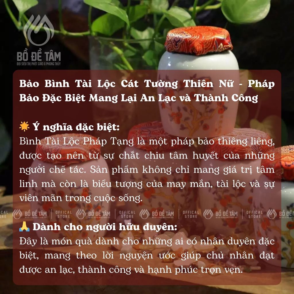 ảnh 5